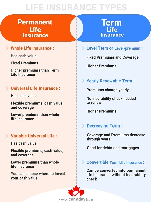 What Is Life Insurance and What Does It Cover?