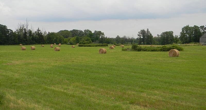 use farms in canada to get in start up visa program