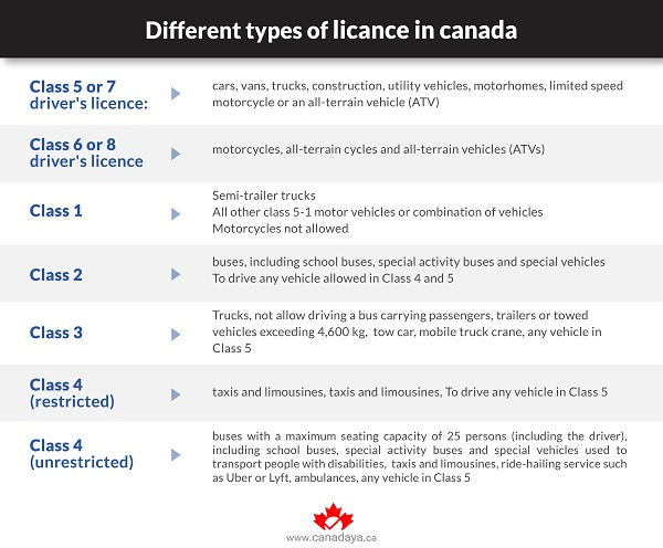 Different types of licence for driving in Canada